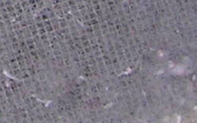 Dryer Lint and Vent Cleaning: A Safe Homeowner Inspection Checklist
