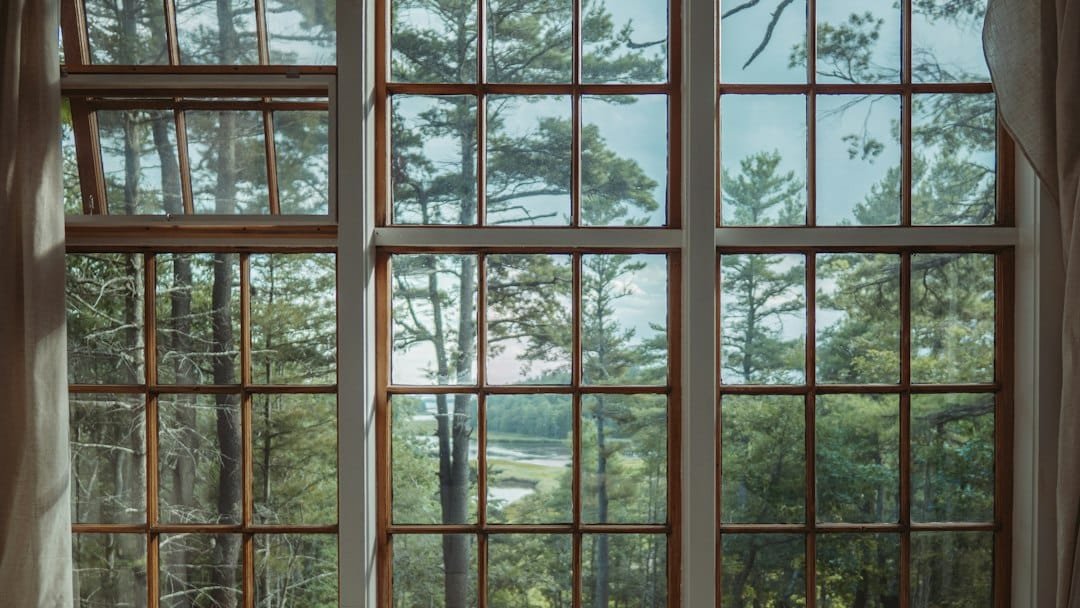 A forested landscape behind a large, vintage, window.